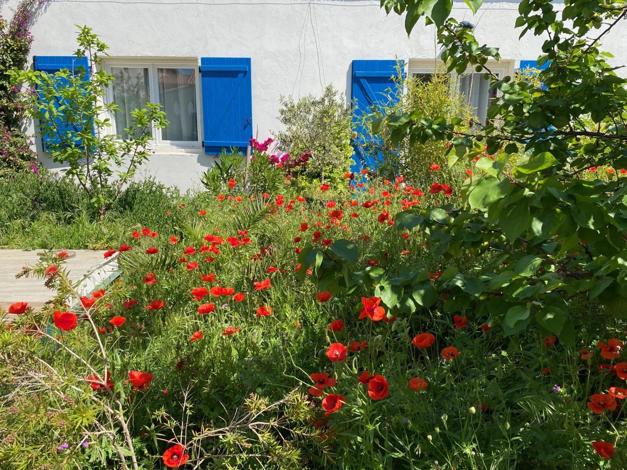 Maisonnette De Jardin Marselha Exterior foto
